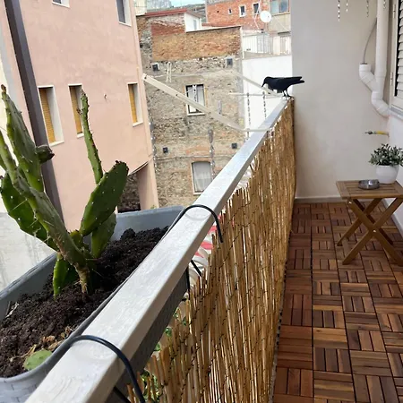 Nausica17 Naxos Bay * 贾迪尼-纳克索斯